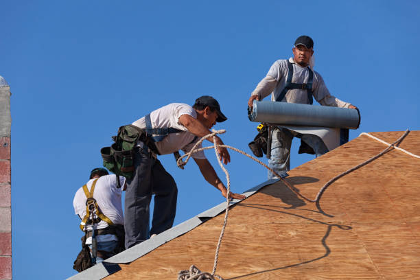 Best Roof Waterproofing Services  in Anson, TX